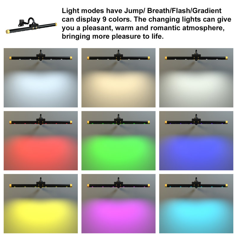 Gyle 16'' Dimmable LED Wall Mounted Picture Light with Remote