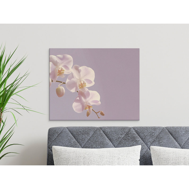 Schilling Wrapped Canvas Print Set, 14x11