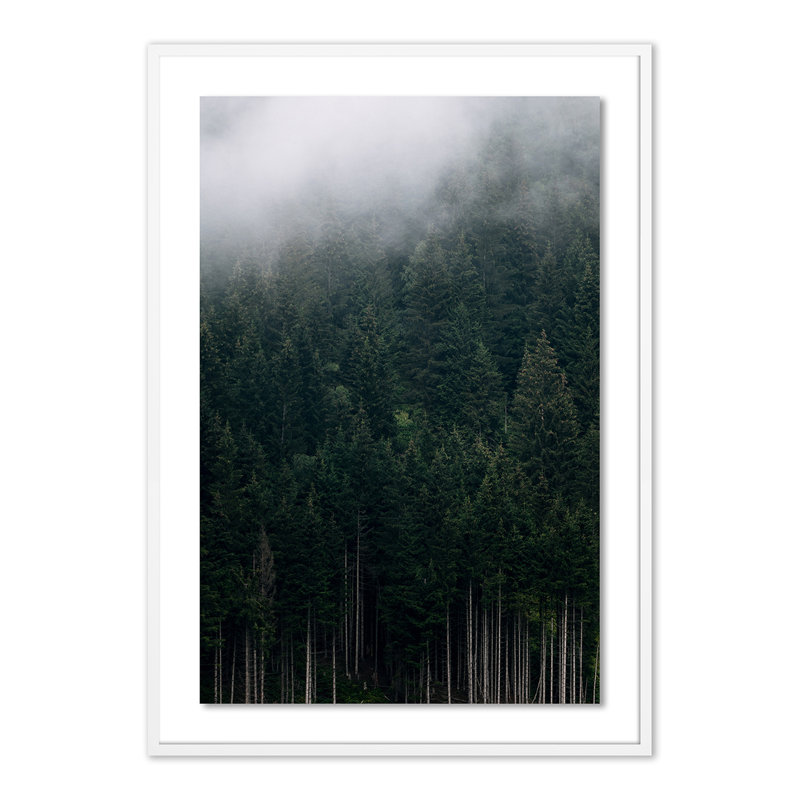 Rolling In 1 Print by Michael Schauer, White, 48" H x 34" W x 2.5" D