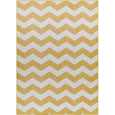Digiorgio Chevron Indoor / Outdoor Rug