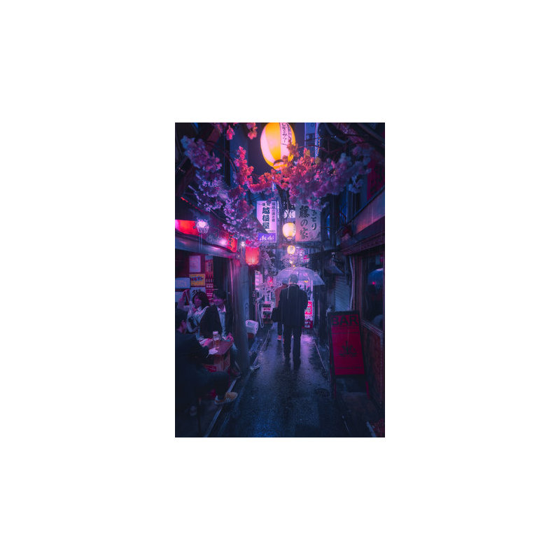 Wrapped Canvas Print, 50.8 cm H x 76.2 cm W
