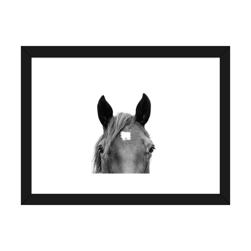 «Peeking Horse In Black & White» par Sissi & Seb - reproduction de photo, H 24 po x l 32 po x P 1 po, Papier encadré noir