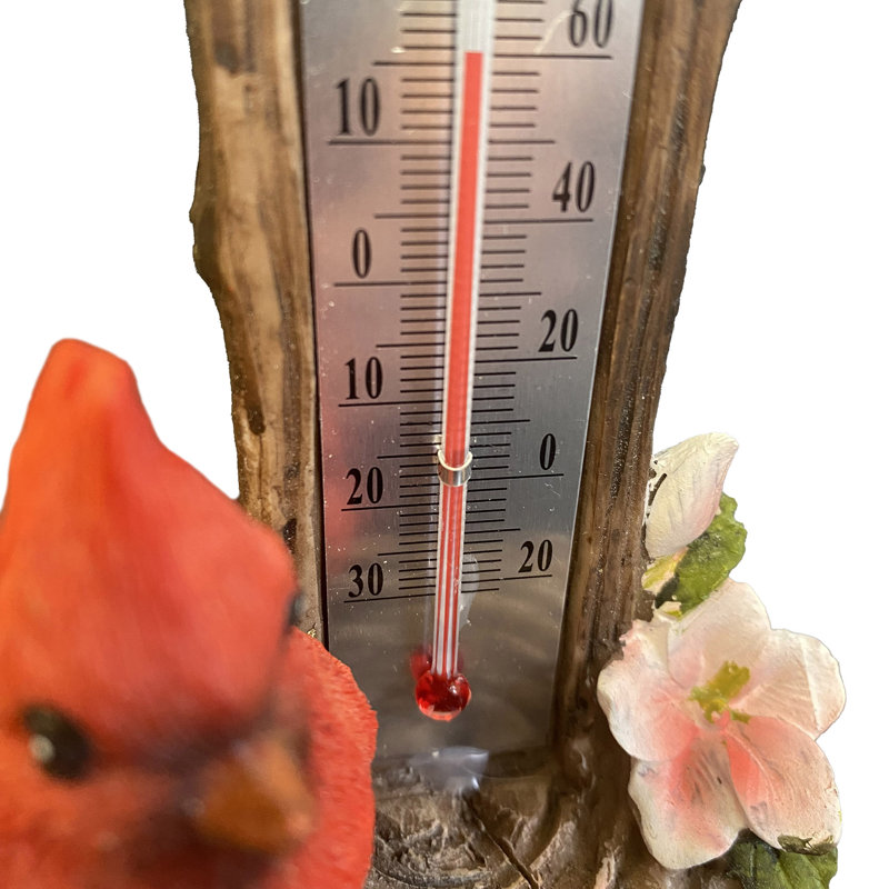  Cardinal Thermometer