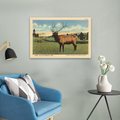 Elk I - 0 Art