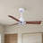 Alessandra 42'' Ceiling Fan-1421734437-1421734367