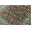 Wool Oriental Area Rug in Rust/Camel