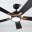 Quanique 52'' Ceiling Fan with LED Lights