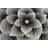 Stinson Floral Indoor Rug