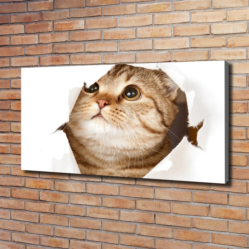 Cat - Wrapped Canvas Print