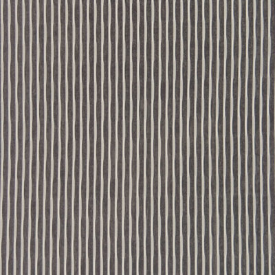 Canon Fabric