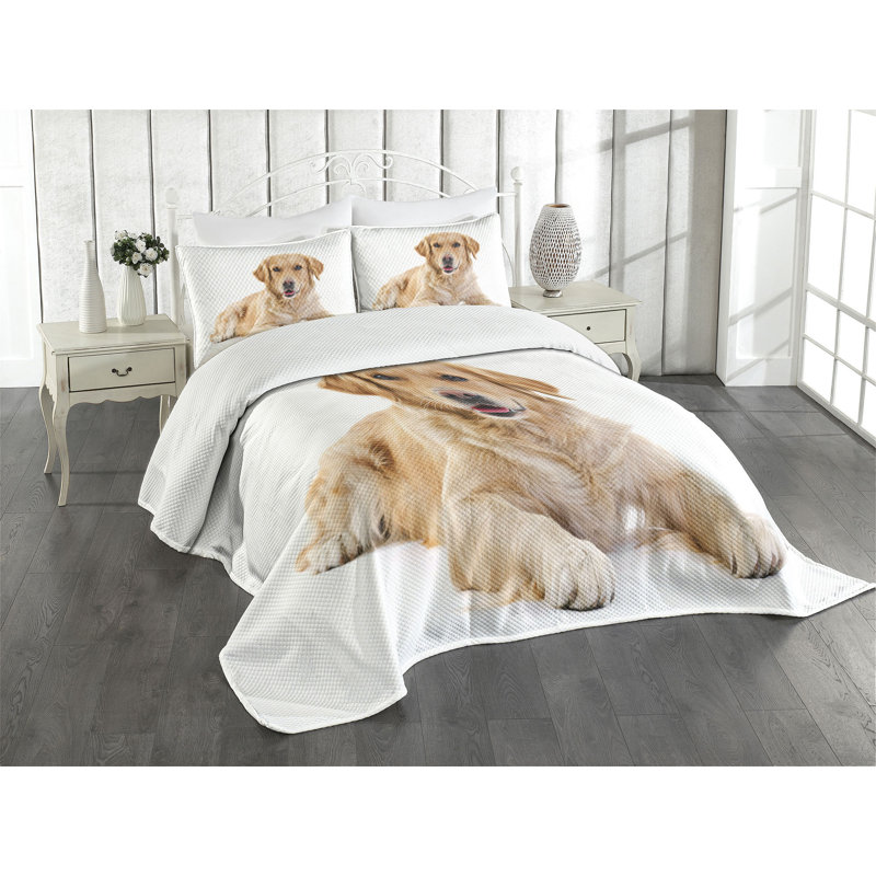 Golden Retriever Print White Quilted Queen Bedspread Set
