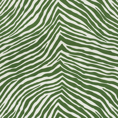 Iconic Zebra Fabric