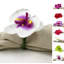 Plastique, anneau de serviette en tissu-331159675