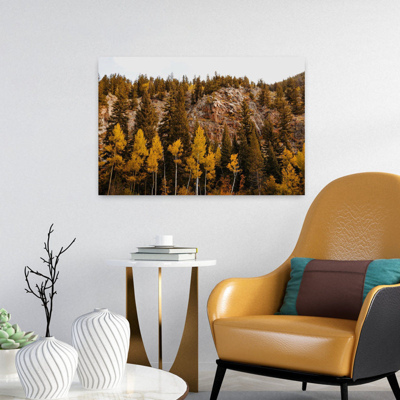 Guanella Pass Aspens, H 16 po x l 24 po