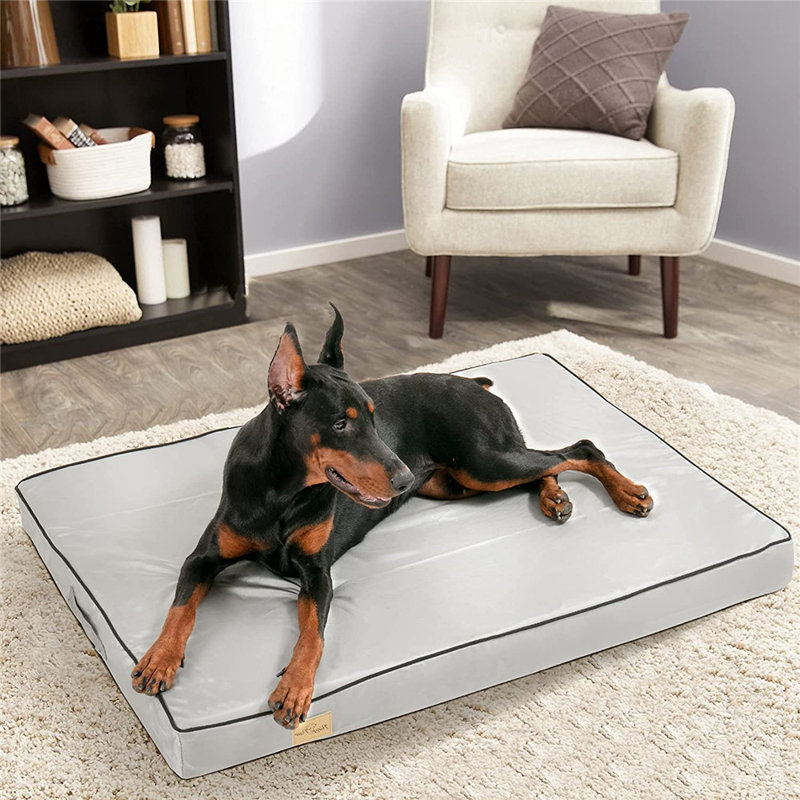 Orthopedic Polyester Pet Bed, 10cm H x 110cm W x 85cm D