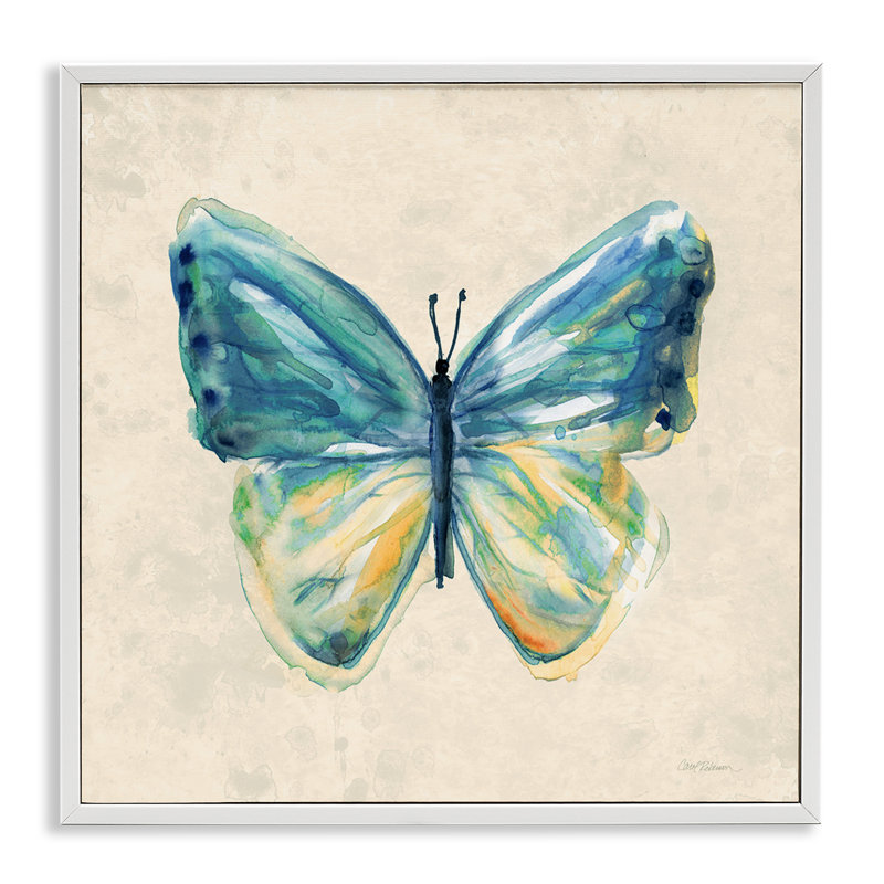 «Bright Watercolor Butterfly», giclée encadrée par Carol Robinson, H 12 po x l 12 po, Giclée encadrée blanc bord de mer