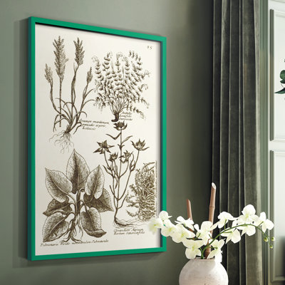«Sepia Botanical Journal VII», reproduction encadrée - bois massif