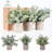 Tabletop Tree