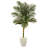Faux Palm Tree in Clay Planter-1319115737