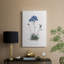 Caladrinia - Galeria Cavas-1766029140