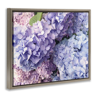 Pastel Hydrangea Flower Petals