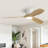 52'' 3-Blade Sand Nickle Modern Celling Fan With Led Light and Remote Control-1793707483