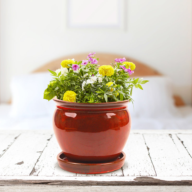 Handmade Ceramic Pot Planter