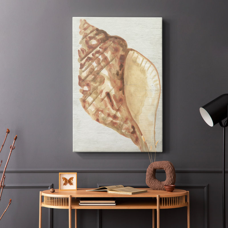 Vintage Shell Vignette IV -Gallery Wrapped Cavas, 18" H x 12" W
