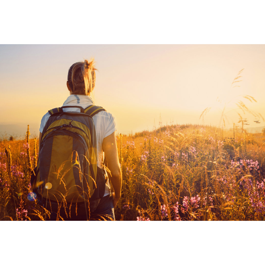 Sunset Mountain Landscape Mid Adult Women Hiker Wildflower Alpine Meadow von Ultramarinfoto - No Frame Art Prints on Can...