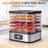 6-Tray Food Dehydrator Machine, 400W Bottom Fan With 360° Airflow, Digital Timer Up To 72H & Temperature Control (95–167°F), Quiet ≤45Db Dehydrator For Jerky, Fruit, Herbs