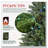 7FT Prelit Christmas Tree