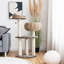 Clemens 104cm H Cat Tree