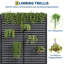 Lit de jardin surélevé en métal avec treillis, boîte à fleurs 71 po x 47 po x 16 po pour plantes grimpantes, trous de drainage, écran d'intimité