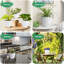 Borsari Pot Planter-1704381926
