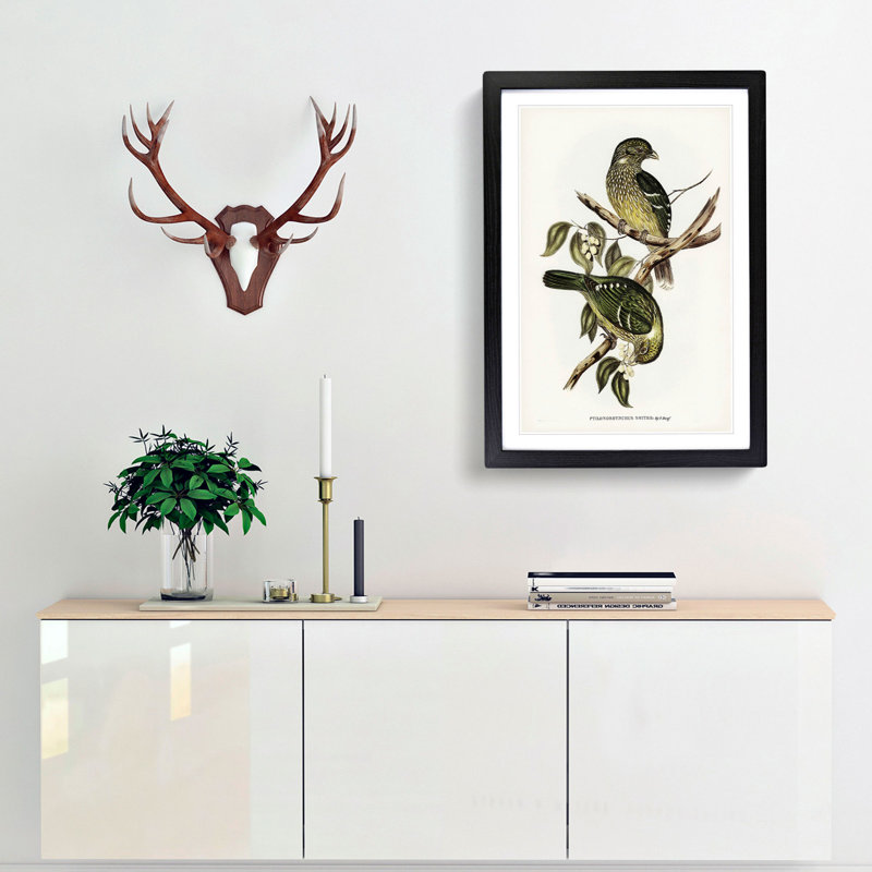 Cat Birds by Elizabeth Gould - Picture Frame Graphic Art Print, 36cm H x 27cm W x 2cm D, Black Framed