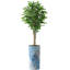 Hautes plantes artificielles artificielles d'intérieur et d'extérieur-116649437-116649445