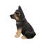 Animals Polyresin Garden Statue