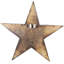 Bhatri Rustic Western Wildlife American Patriotic Star