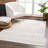 Dounia Transitional Performance Beige Area Rug-1017859239