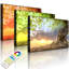 Rooted Strong Tree At Sunset by No - Wrapped Canvas Print-49671811-49671809