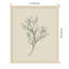 «Line Drawn Flowers 1» par Border Bloom - cadre photo-1144291411-1144291408