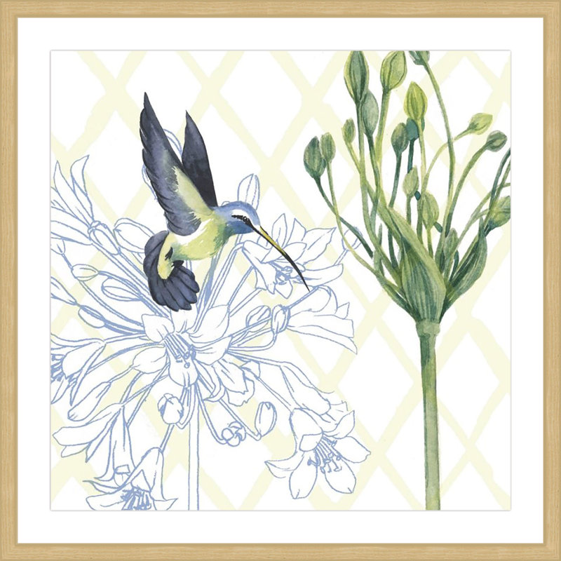 «Hummingbird Dance III», reproduction encadrée, H 24 po x l 24 po x P 1,5 po