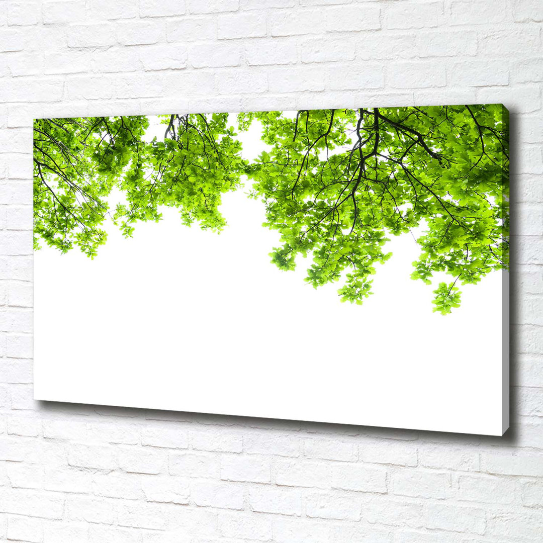 Oak Leaves - Kunstdrucke auf Leinwand - Wrapped Canvas