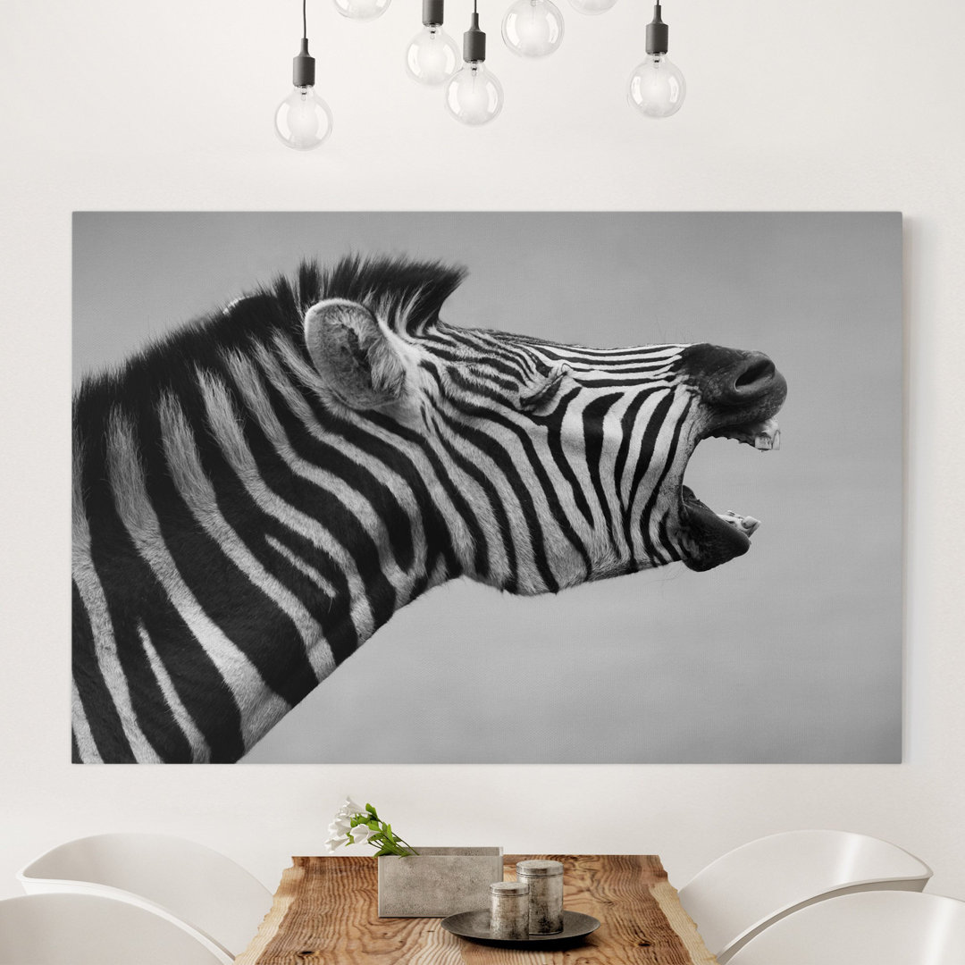 Leinwandbild Brüllendes Zebra