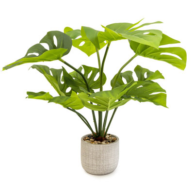 50cm Faux Dracaena Plant in Cement Pot