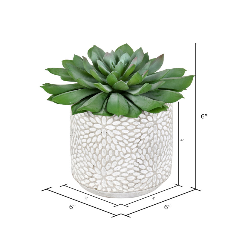 6'' Faux Succulent in Cement Pot