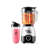 Magic Bullet Full Size Blender Combo 48oz Silver
