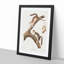 Downy Squirrels by J.W. Audubon - Picture Frame Painting Print-55545568-55545569