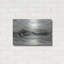 "Estuaire" par Silvia Vassileva-1696025540