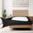 Jersey Knit Stretchy Wrap Around Box Spring Cover-101908378-101908376